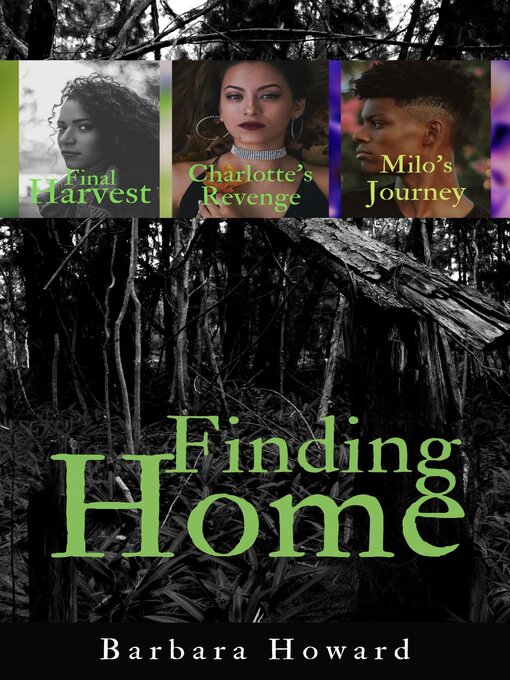 Title details for Finding Home Mystery Series by Barbara Howard - Available